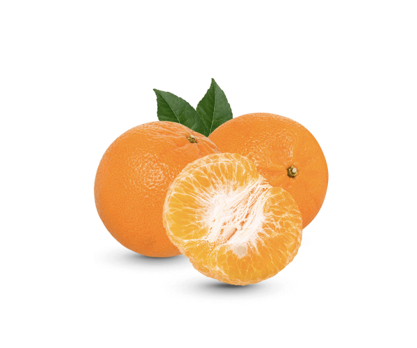 a fresh Orange