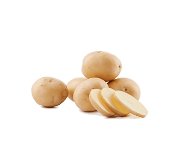 Fresh Potato