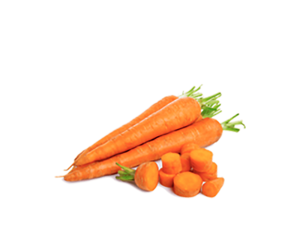 Fresh Carrot